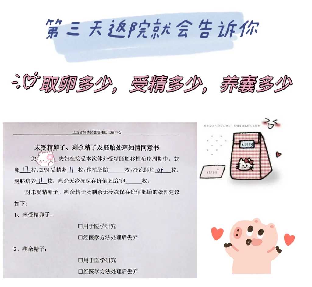 华西二院一代试管供卵去哪大概多少钱 华西二代试管供卵去哪费用