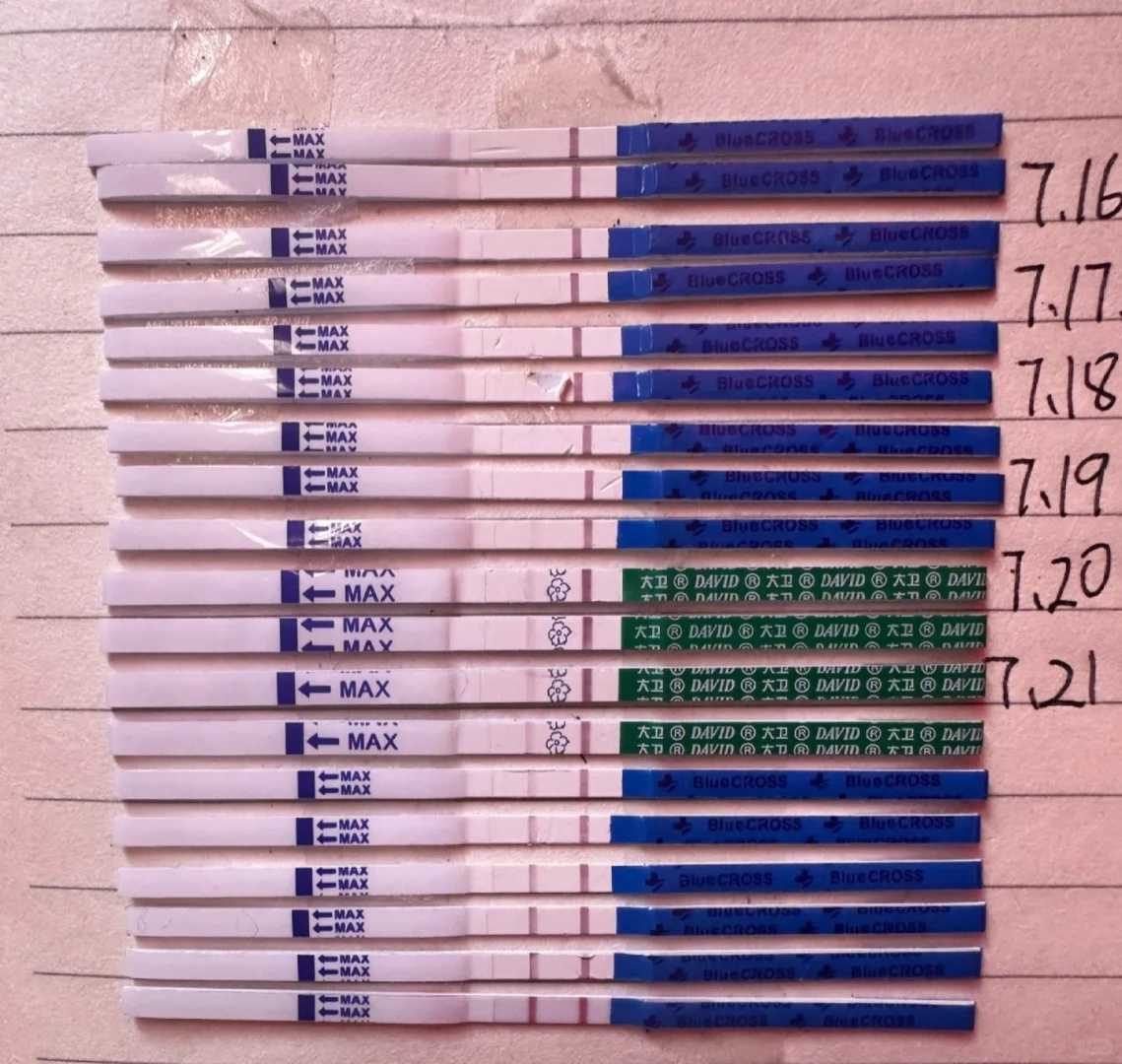 胚胎质量不好生出的孩子好不好(女性染色体9qh做一代代生公司多少钱可不可以)