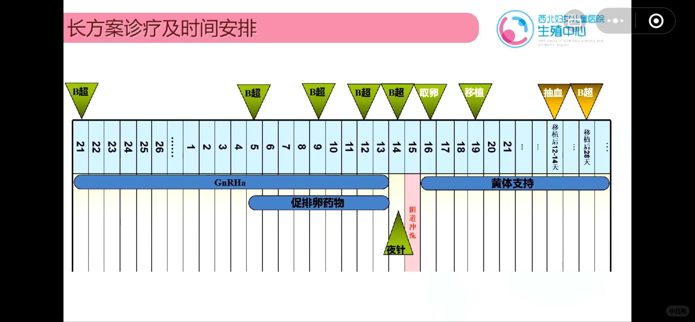 上海找可靠助孕中介-上海助孕电话咨询,上海陪产假10天从什么时候算起！