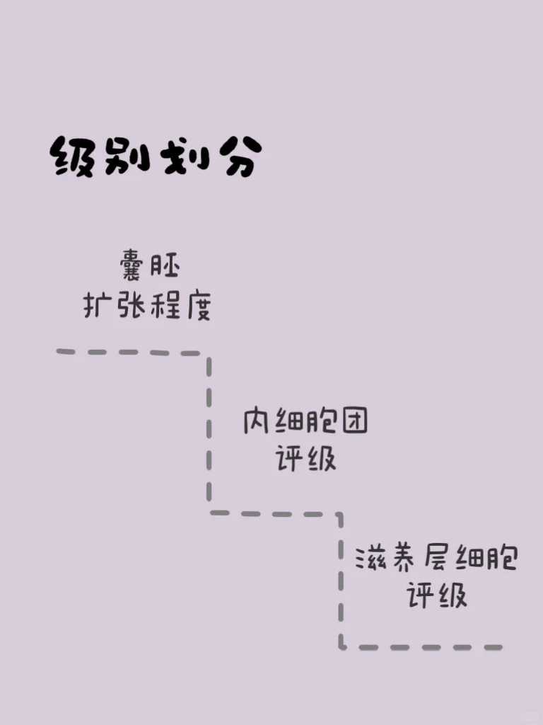 国内单身女性可以做混血试管婴儿吗?